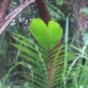 Meet your Posher, Sally